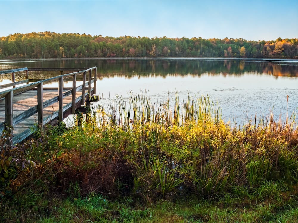 The Top 7 Activities for Active Seniors in Monmouth County, New Jersey